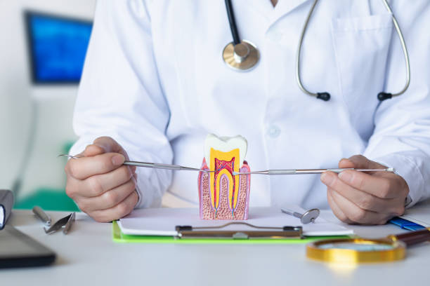 Best Emergency Tooth Extraction in Sudley, VA